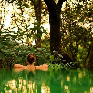 ***** Resort Wayanad Wild - A Cgh Earth Experience India